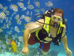 Bahamas diving charter